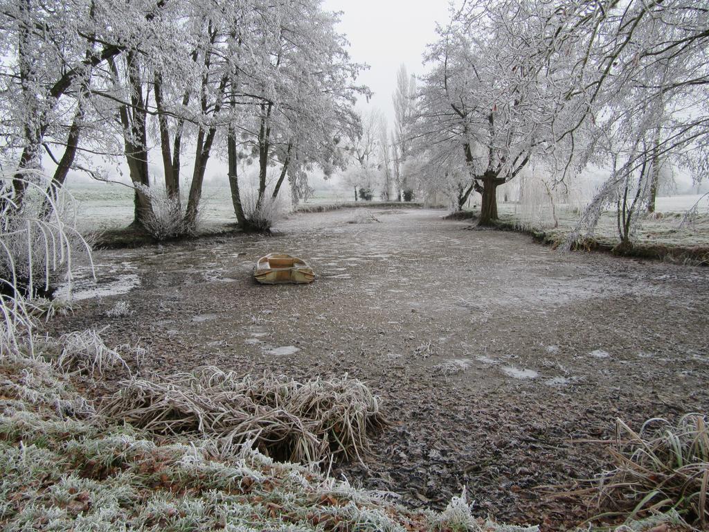 Les Gites D'Emilie Melesse Buitenkant foto